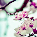 roseysmtl avatar