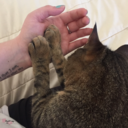 rosiepotsy-blog avatar