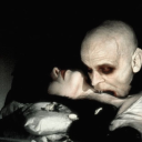 rottingdaydreams avatar