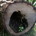 rowanstonephotography avatar