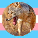 roxanne-rainwater avatar