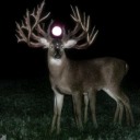 royal-ace-flush avatar