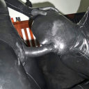 rubbredleatherfagpigboi2u avatar