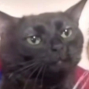 rudeboysubmit avatar