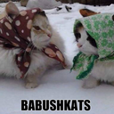 russian-catmemes-blog avatar