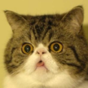 ruthneckzilla avatar