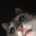 ruzgarinparsellasii avatar