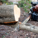 ryanmatthewcohn avatar