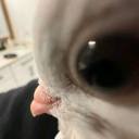 ryunchanstuffsblog avatar