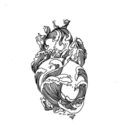 s-a-i-l-o-r-s avatar