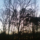 s-e-m-i-sweet avatar