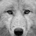 s-m-o-k-i-n-g-c-i-g-a-r-e-t-t-e avatar