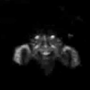 s-p-o-o-k-l-e-e avatar