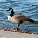 s0me0nevmoemo4ke avatar