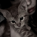 s4dl0s3r-43vr avatar