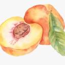 saccharinesin avatar