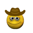 sad-yeehaw avatar