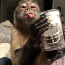 sadeceyazsamm avatar