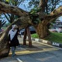 sadiqahsiddiqah avatar