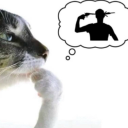 safetypinsama avatar