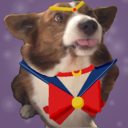 sailorcorgimoon avatar