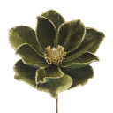 sainte-osmanthus avatar