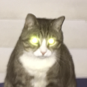 saintpendleton avatar