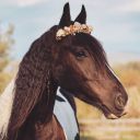 saisirlesjour avatar