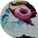 salamandermemes avatar