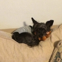 salemismyguardianangel avatar