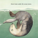 salmon-on-land avatar