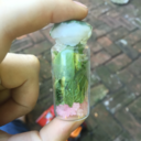 saltandrosemary avatar