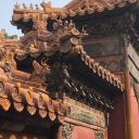 saltedplumtea avatar