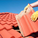 saltwater-phoenix avatar