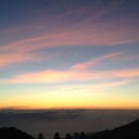 saltwater-serif avatar