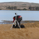 saltycenturyegg avatar