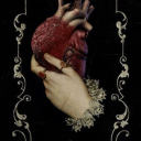 saltyginger18 avatar