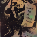 salvoseriefortuna avatar