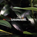 samanamel avatar