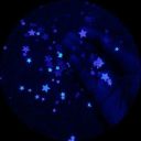 same-snake-different-skin avatar