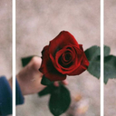 samikosky28-blog avatar