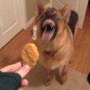 sammylovesmine avatar