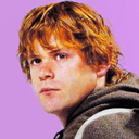 samwise-baggins-blog avatar