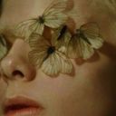 sanctuary-for-wanderers avatar