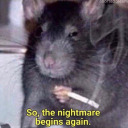 sanguinesunset avatar