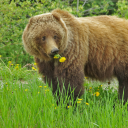 sans-normality avatar