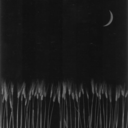 santa-luce-dei-macelli avatar