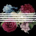 saphiras-things avatar