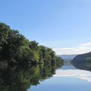 saphirweretigrx avatar