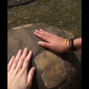 sapphic-and-stupid avatar